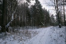 Winterwandern / _______________________*