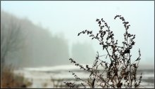 SPRING-STUDIE / ***