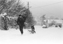 &nbsp; / ***********