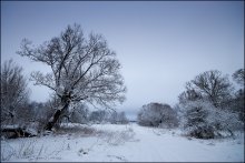 Am Morgen / ***