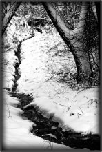 Inmitten der Stille Wald ... / ***