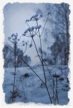 Winter Gras / ---
