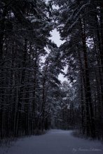 Wintermärchen / ***