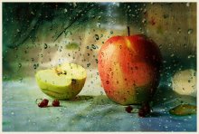 Über Äpfel und regen / ***