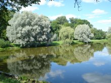 In der Nähe der Burg / ***