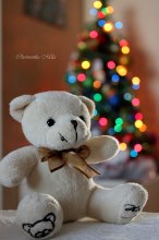 Teddy Bear Weihnachten / 2012