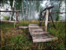 Die Brücke im Wald / ***