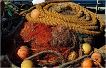 Still Life "Fisherman" / ***********