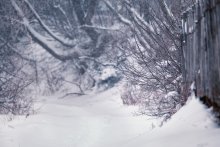 bedeckt - der Januar / ***