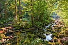 Bulgaria. Devin. Vaterfall Canyon / ***