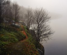 Paths of Autumn / ***