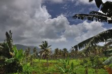 Land of the Red Soil / Land of the Red Soil