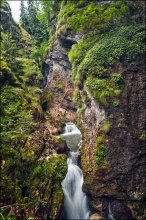 Bulgaria. Trigrad Canyon / ***