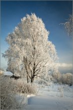 schneereichen Winter ... / ***