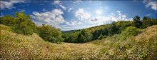 Bulgaria. Velingrad. Mouns in flowers / ***