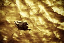 Als die goldene Fluss ... / ***