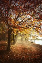 Autumn Thema / *******