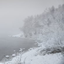 In der frostigen Nebel / ***