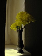 Gelbe Blumen / ***