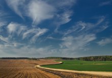 Der Frühling steht vor der Tür / ***