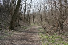 Der Frühling kommt / ***