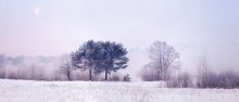 Der Morgen Landschaft mit Mond / ***