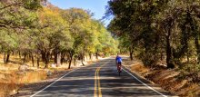 in Madera Canyon / ***