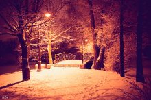 Winter Walk / ***