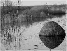 Flut / ***