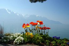 Montreux, Schweiz / ***