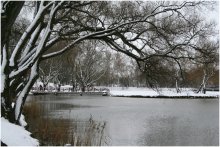 Winter-Teich / ***