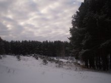 Wintertag / ***