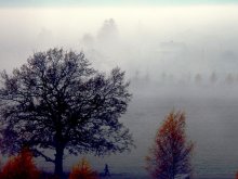 Herbst ... der Nebel ... / ***