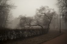 Misty Morning im April / ***