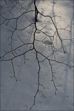 Iden des März / ***