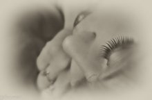 siana / ..............