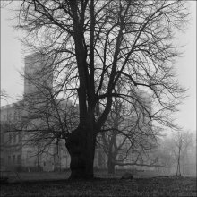Palast / Hassel, Ilford delta 100