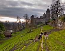 Die Mauern des Schlosses Rapperswil / ***