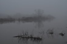 Fluss Nebel / ***