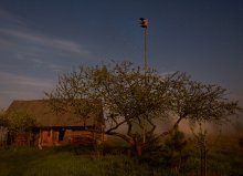 und alle Vögel verstummten ... / ******