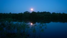 Moonlight Sonata / _______________________*