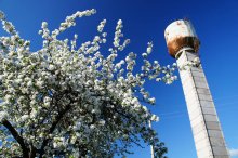 Rusty Tower und blühenden Mai / ***