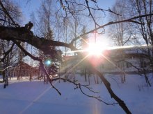 Wintersonne / ***