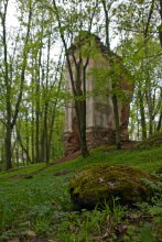 In den Ruinen der Burg Tyshkevich. 2012 / ***