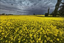 Wandern in Frankreich ...... / **********************