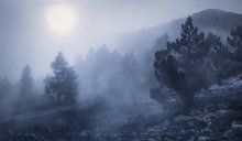 Krym.V Nebel der Ai-Petri. / ***