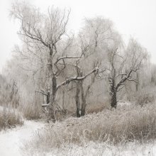 Von den Winterflugplan / ***