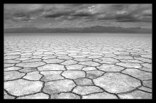 Salt Lake Assal, Äthiopien / ***