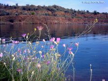 Sonnenuntergang / ***