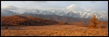 Goldener Herbst Altai. / ***